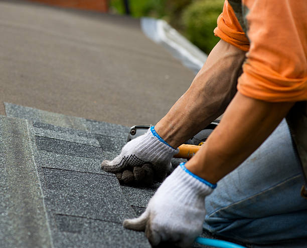 Best Roof Maintenance Services  in , WY